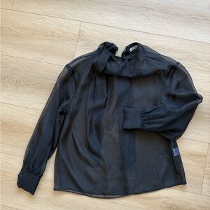 Rue Sophie Sheer Black Blouse